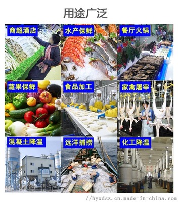 商用片冰机（500公斤/天） 餐饮业高效运营与品质保障的制冰利器